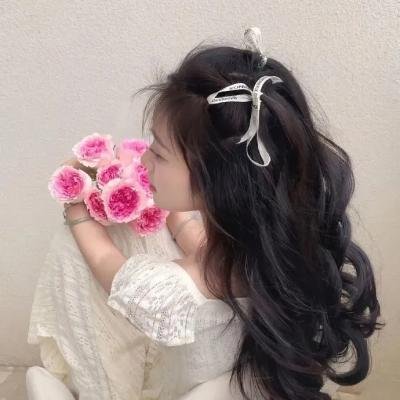 基督山之子海报